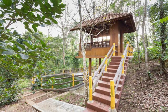 Kalppavanam Heritage Resort Thekkady Εξωτερικό φωτογραφία